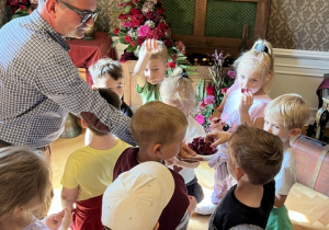 Przedszkolaki jedzą suszone buraki.