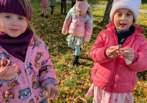 Amelka i Zoja z kasztanami