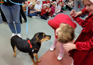 Dziewczynka przygląda się pieskowi