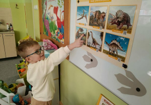 Antek wskazuje dinozaury oraz je nazywa..