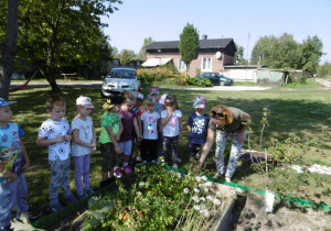 W ogródku dzieci oglądają warzywa.