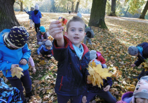 Dzieci zbierają skarby jesieni.
