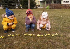 Dzieci oglądają wiosenne kwiaty.