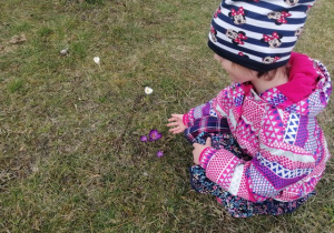 Dziewczynka znalazła wiosenny kwiat.