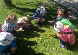 Dzieci obserwują wiosenną łąkę.