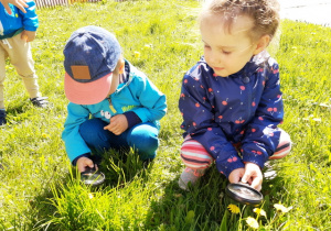 Pawełek i Marysia obserwują owady.