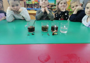 Dzieci obserwują proces parzenia herbaty.