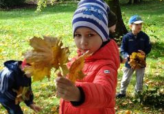 Chłopiec prezentuje jesienny liść.