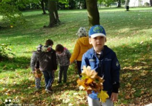 Chłopiec prezentuje jesienny bukiet wykonany z liści.