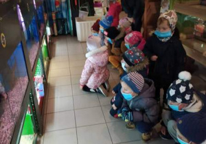 Dzieci oglądają zwierzęta.