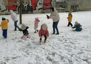 Biedronki wesoło bawią się na śniegu.