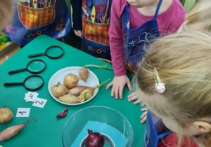 Dzieci ważą cebulę - która z nich jest najcięższa?