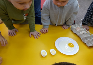 Dzieci porównują jajko surowe z jajkiem ugotowanym na twardo.