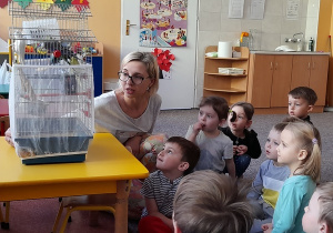 Dzieci oglądają papużki.