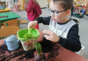 Chłopiec sadzi swoją roślinkę.