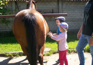 Marcel i Natalka czyszczą konia.