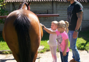 Zuzia i Olga czyszczą konia.