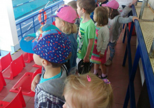 Dzieci obserwują pływaków na basenie.