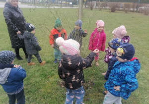 Dzieci podziwiają pąki na drzewie.