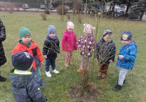 dzieci obserwują pąki na drzewie.