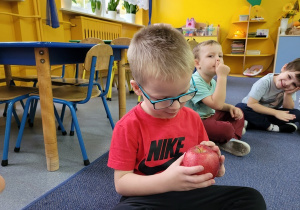 Chłopiec ogląda jabłko.