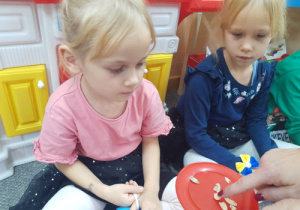 Dzieci badają pestki dyni.
