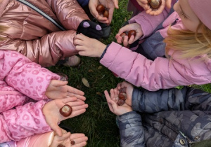 kasztany na dłoniach dzieci